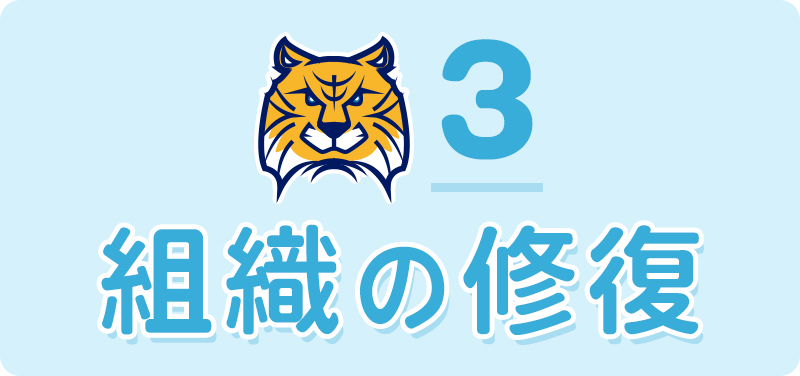 組織の修復